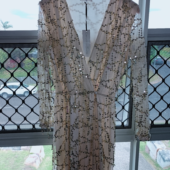 Constantina and Louise wedding/evening dress - Picture 3 of 10